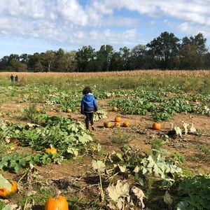 Meet your Posher, Hafida